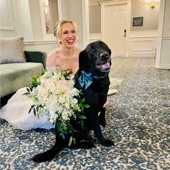 Meet your Posher, Madeleine - Picture 1 of 1